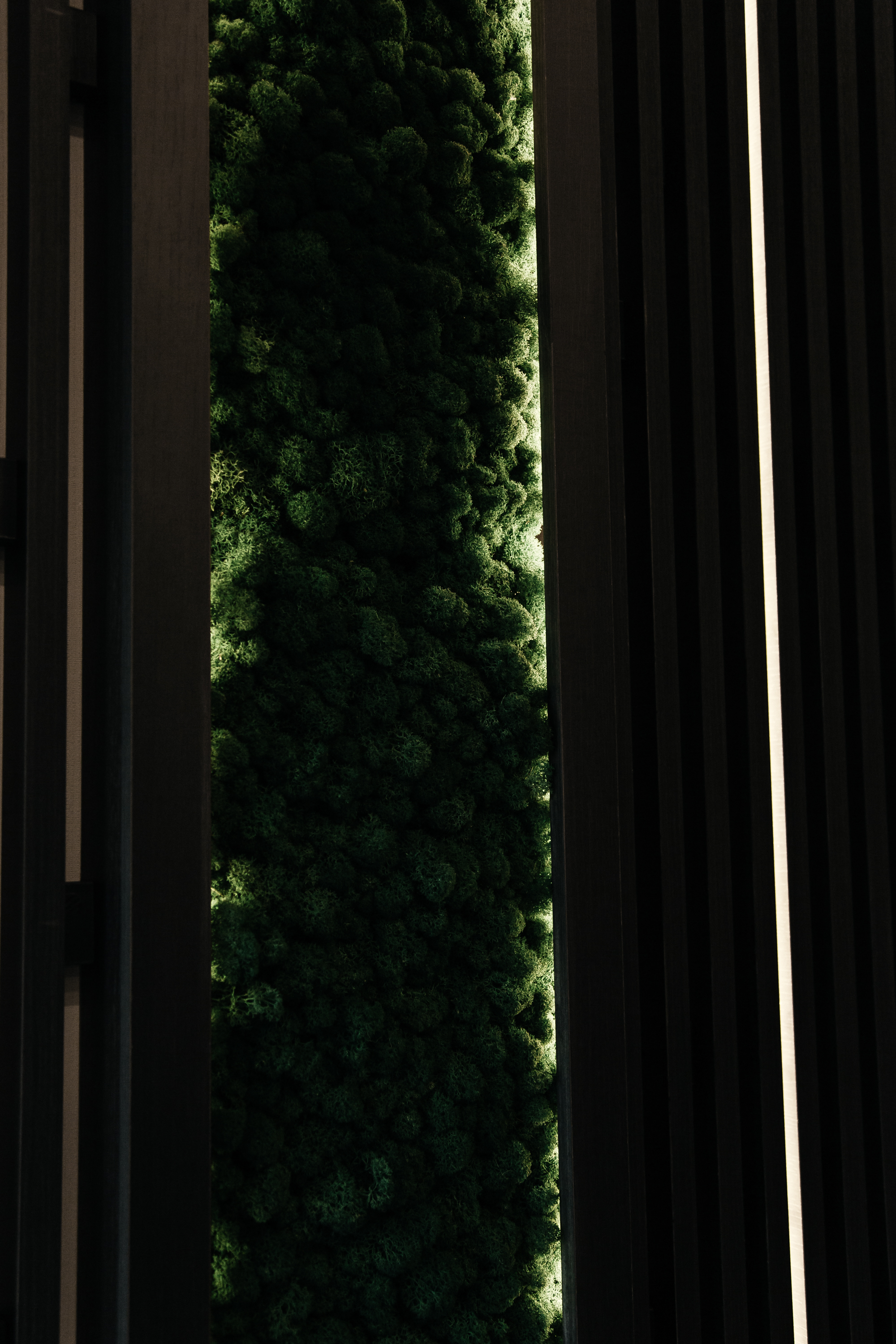 Тайский массаж