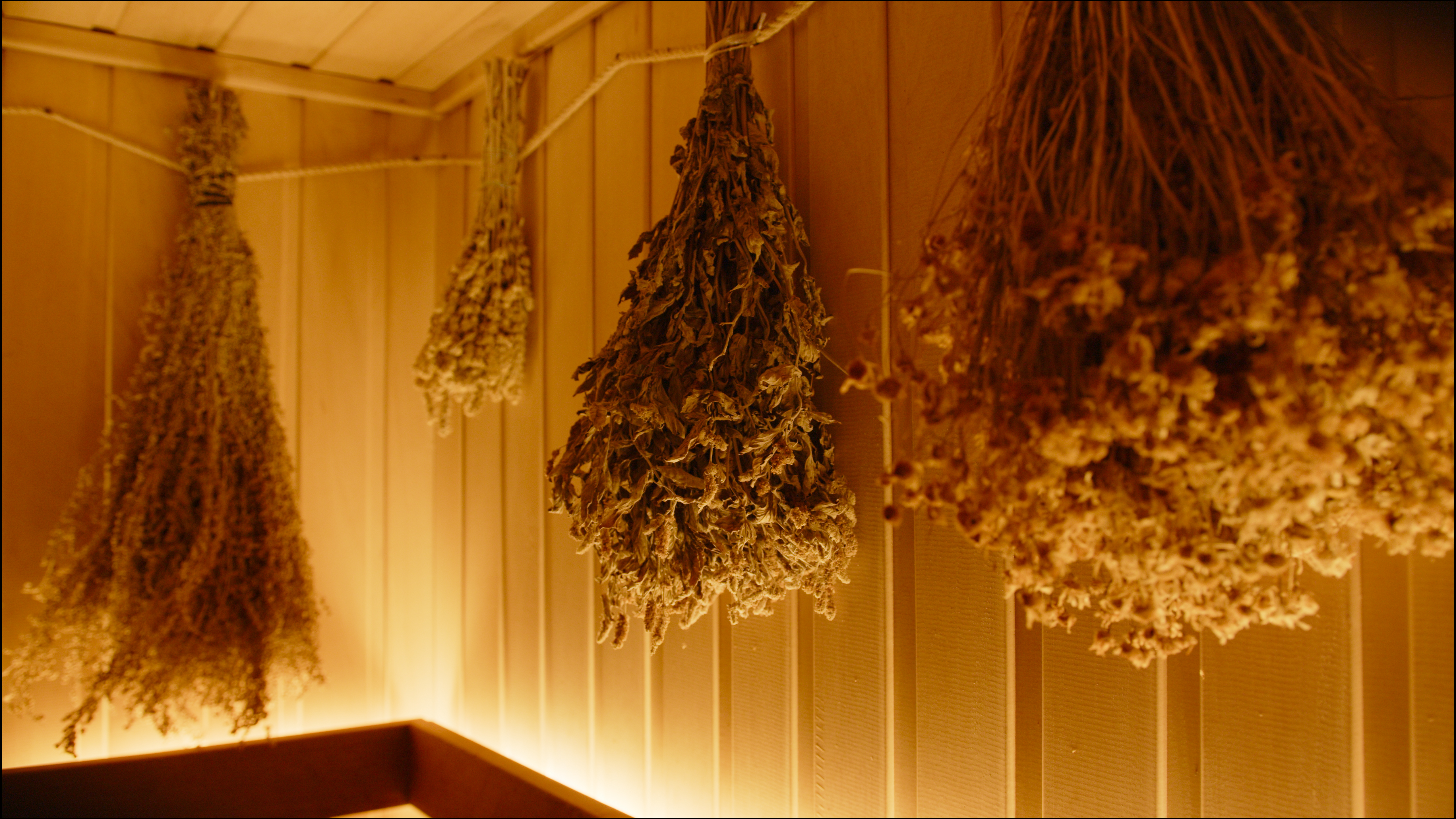 Дровяная купель в загородной резиденции зимой